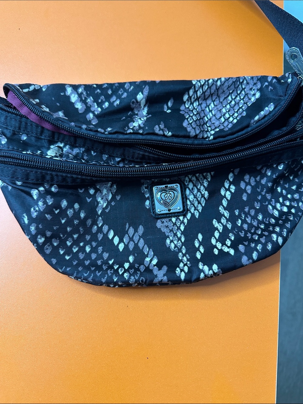 Brighton Black Snake-Print Belt Bag with Iridescent Accents